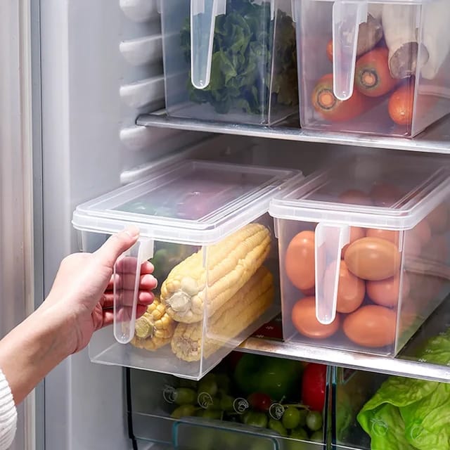 Organizador Multiusos con Tapa y Manija