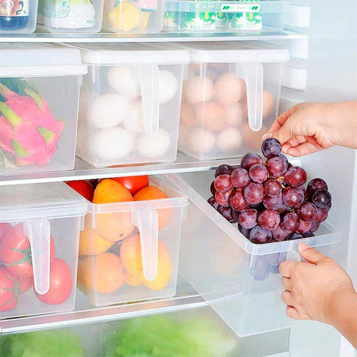 Organizador Multiusos con Tapa y Manija